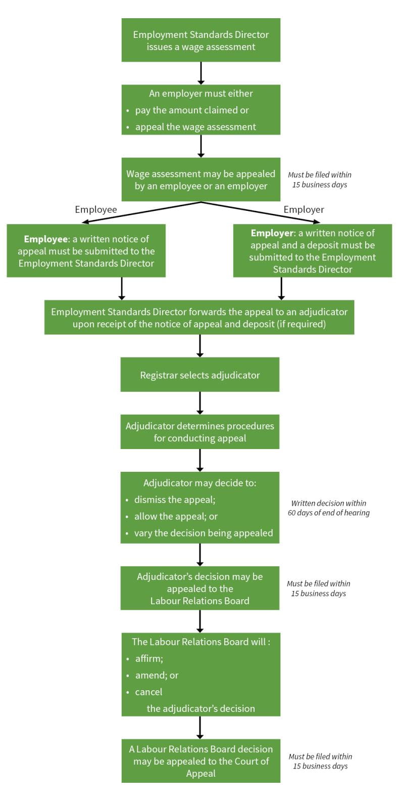 Employment Standards appeals process